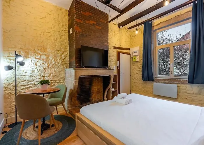 Appartement Le Cocon De Claudie Nancy